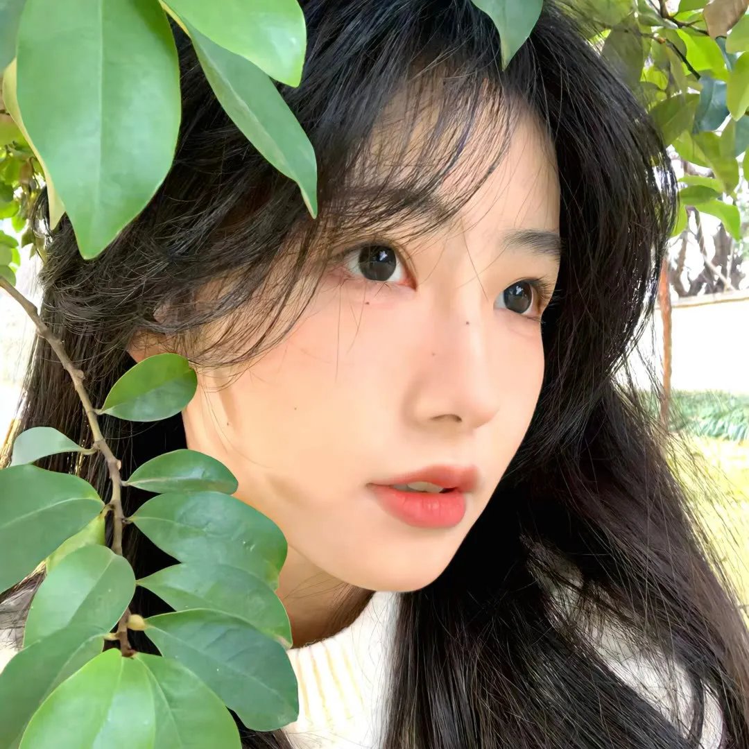 村官普发兴